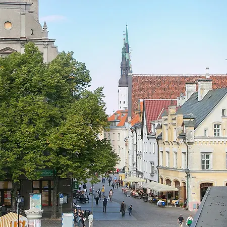 Vip Old Town Apartament *