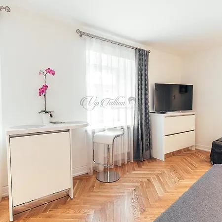 Vip Old Town Apartament Tallin