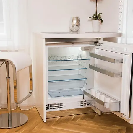 Apartament Vip Old Town *