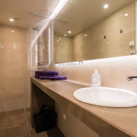 Appartement Vip Old Town