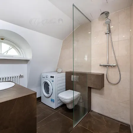 Apartament Vip Old Town *