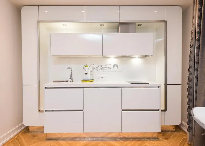 Vip Old Town Daire *