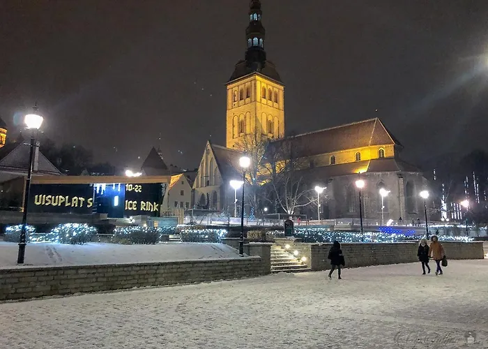 Vip Old Town Apartamento Tallin