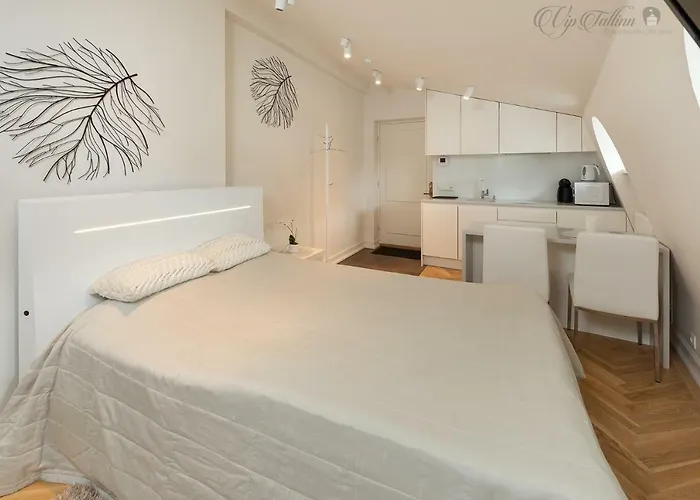 Apartamento Vip Old Town *