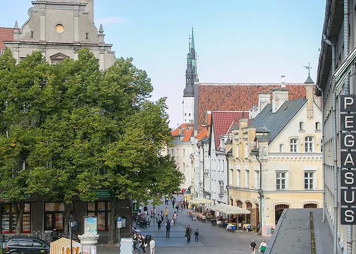 Vip Old Town Apartment *