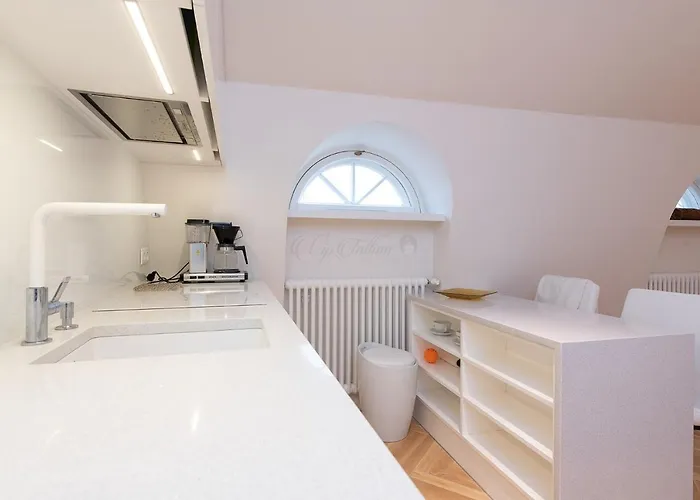 Apartment Vip Old Town