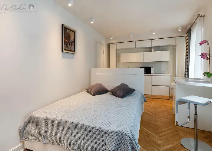 Vip Old Town Apartment *