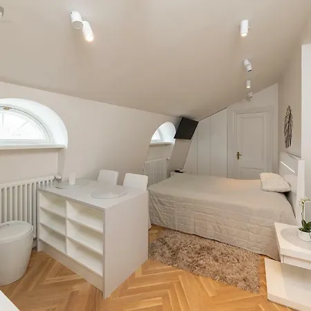 公寓 贵宾老城公寓旅舍 *